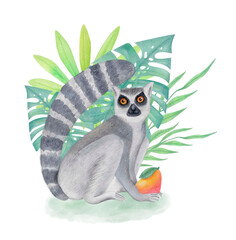 Watercolor hand-drawn illustration of ring-tailed lemur with tropical leaves and fruit, isolated on white. Cute Madagascar animal clipart for eco-friendly design, educational materials, kids projects. © DarkberryStudio