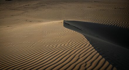 Exquisite Patterns of Sand Dunes Under Soft Evening Light