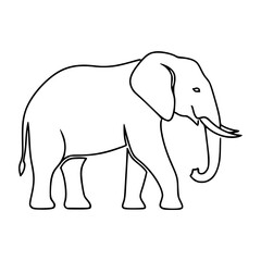 Empty vector file display Vector