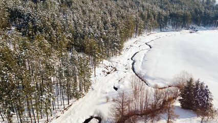 Aerial shot of pine wood forest at Zlatibor mountain in winter
