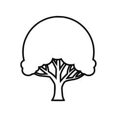 Empty vector file Vector