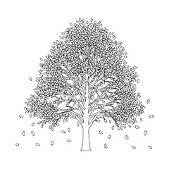 Empty vector file display Vector