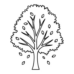 Empty vector file display Vector