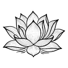 Empty vector file display Vector