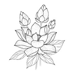 Empty vector file display Vector