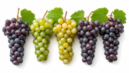 vibrant clusters of grapes of various colors, showcasing freshness and natural beauty