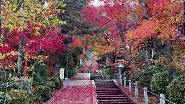 Stone steps leading through vivid autumn foliage