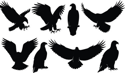 Obraz premium Eagle silhouettes set showing flying, landing, and perched birds of prey poses, wildlife illustration isolated on white background