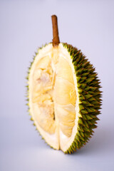 Obraz premium Premium shot of a halved durian fruit, revealing rich creamy yellow pulp and a sharp spiky husk. Fresh tropical exotic fruit isolated on a plain white background