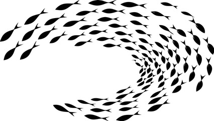 School of fish swimming in circular motion on white background