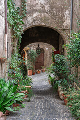 Naklejka premium Italy - Ronciglione - Medieval alley - Cobblestone passage with archway, potted plants and ivy leading to wooden doors and lanterns