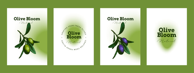 Vintage sketch banners. Extra virgin, farm product, Mediterranean cuisine, cosmetic, organic farm, packaging label, bottle sticker, menu header. Engraved hand drawn vector illustration.