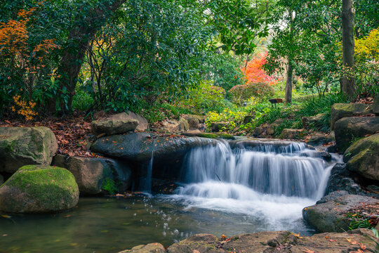 A scenic view of forest streams and red maple trees in the West Lake area of Hangzhou, China.