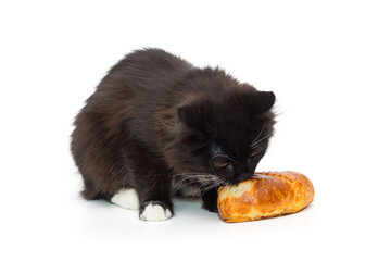 Small black kitten sits and eats a bun