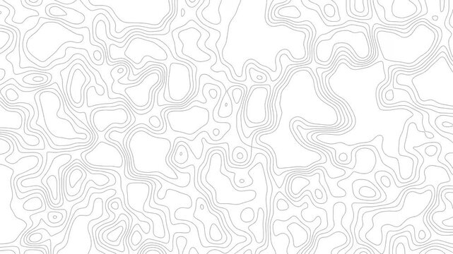 4K Video Abstract Animated Topographic Map Background with Moving Black Contour Lines on White