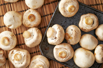 button mushroom, cultivated mushroom © mnimage