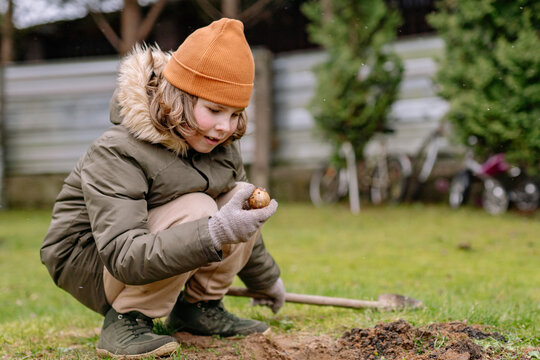 Child digs in garden and finds potato while wearing warm clothes and gloves during chilly day