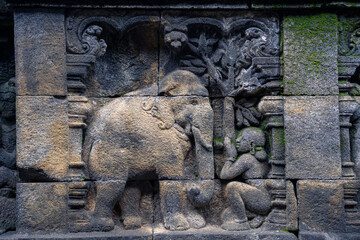 borobudur temple relief indonesia