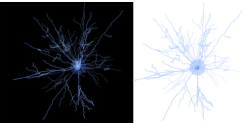 Abstract Neuron Network Illustration with Glowing Electric Synapses