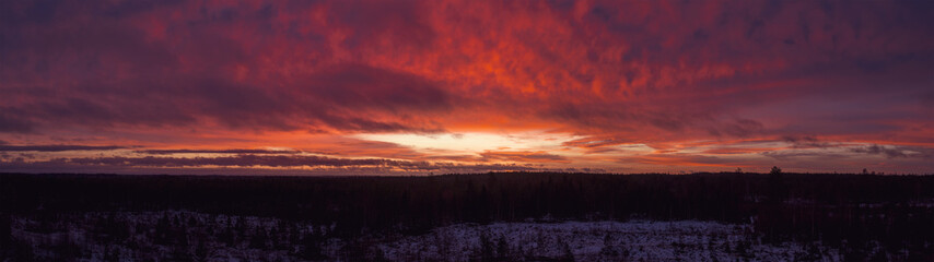 Nordic boreal forest winter sunrise with dramatic vibrant sky