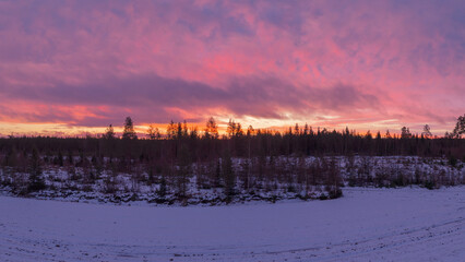 Nordic taiga forest at winter sunrise with vibrant sky