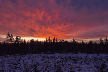 Fototapeta premium Nordic boreal forest winter sunrise painting dramatic sky