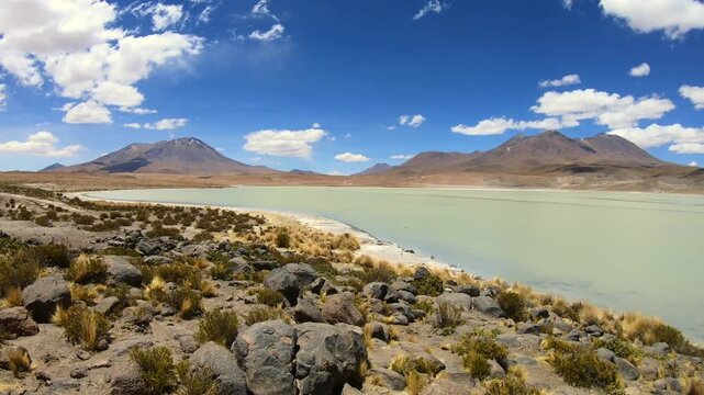 Laguna Hedionda, endorheic salt lake. Bolivia, the Southwest of the Altiplano, Potosi Department