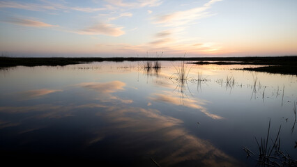 Obraz premium Tranquil Wetland Horizon at Sunset with Sky Reflection on Calm Water