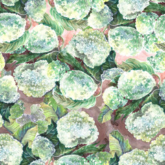 seamless pattern with white hortensia flowers