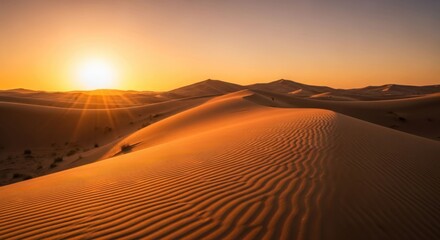 Golden desert sunset