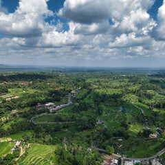 Aerial Drone View Terraced Rice Paddies, Lush Green Contours Cascading Across Jatiluwih Valley Under Bright