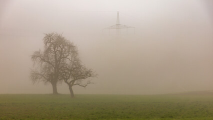 Strommast im Nebel © Dominik Rueß