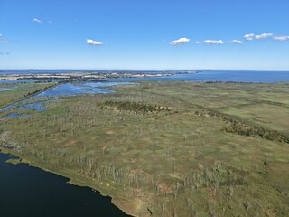 Blick &uuml;ber den Anklamer Stadtforst zur Insel Usedom