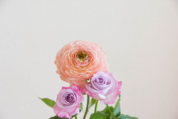 Fototapeta premium 薔薇とラナンキュラス