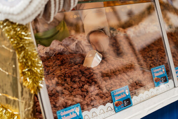 Stand mit gebrannten Mandeln und S&uuml;&szlig;waren auf N&uuml;rnberger Christkindlesmarkt, befr&uuml;hmter Weihnachtsmarkt in Deutschland, beliebtes Reiseziel f&uuml;r Touristen w&auml;hrend der Weihnachtszeit