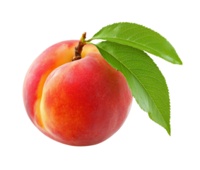Juicy ripe peach with vivid red-yellow skin and attached green leaves, isolated on white background, symbol of freshness and summer fruit
