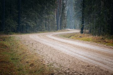 Fototapeta premium Winding dirt road meanders through dense forest, surrounded by tall trees and lush greenery, creating a serene and tranquil atmosphere for outdoor exploration and adventure