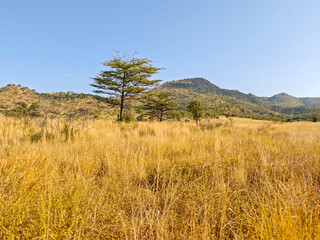 Obraz premium Landscape of Omo National Park in Ethiopia