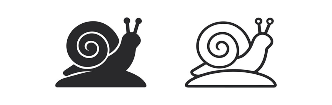 snail snail on tiny hill sunrise background