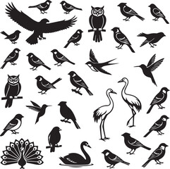 Fototapeta premium set of vector birds