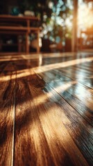 Sunlight Casting Shadows on Polished Wooden Floor