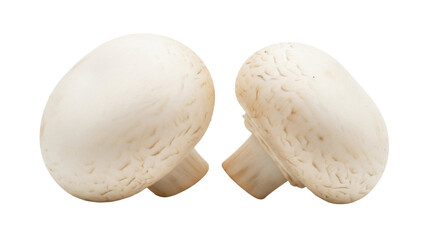 Two fresh champignon mushrooms isolated PNG on transparent background, edible fungus with smooth caps for cooking and culinary use