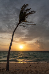 Awesome subset seascape in Maldives Island
