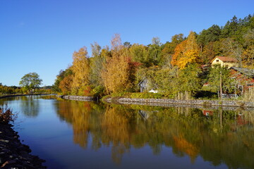 Obraz premium Beautiful orange autumn colours with yellow and orange trees reflected along Göta Canal's calm water