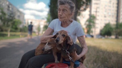 Animal theme is a lonely old woman best friend. Caucasian 90 years old senior female is happy to spend time with her pet small dachshund dog, holding her in her arms, hugging hugs and kisses outdoor.