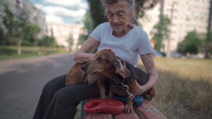 Animal theme is a lonely old woman best friend. Caucasian 90 years old senior female is happy to spend time with her pet small dachshund dog, holding her in her arms, hugging hugs and kisses outdoor.