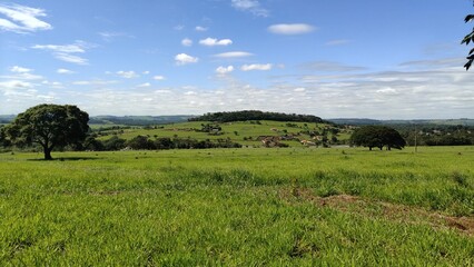 uma paisagem de uma fazenda localizada em Avaré, interior do Estado de São Paulo © Ricardo_S_Levenhagen