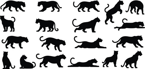 Fototapeta premium Black panther silhouette collection wild big cat poses animal vector illustration isolated white background safari predator design