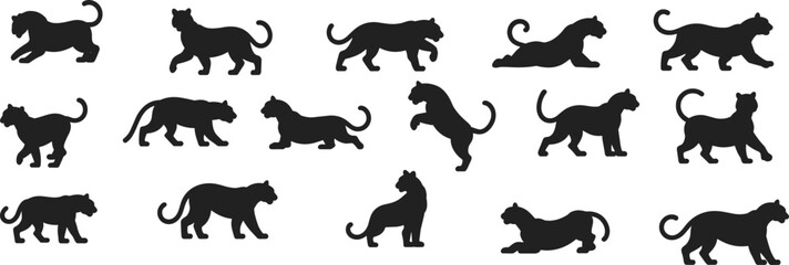 Black panther silhouette collection wild big cat movement poses animal vector illustration isolated on white background predator design © GOLAPI