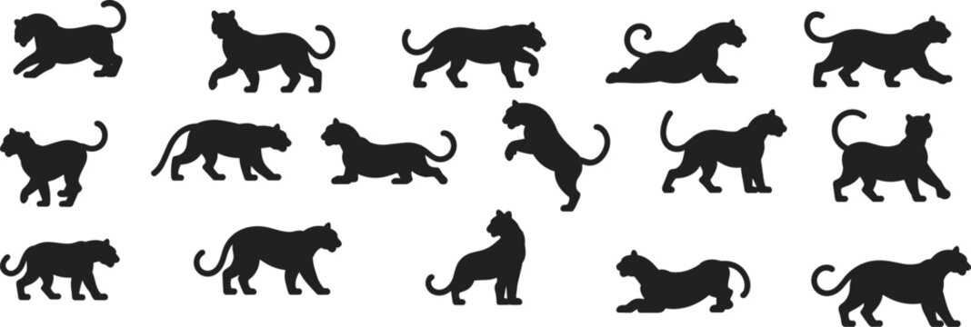 Black panther silhouette collection wild big cat movement poses animal vector illustration isolated on white background predator design